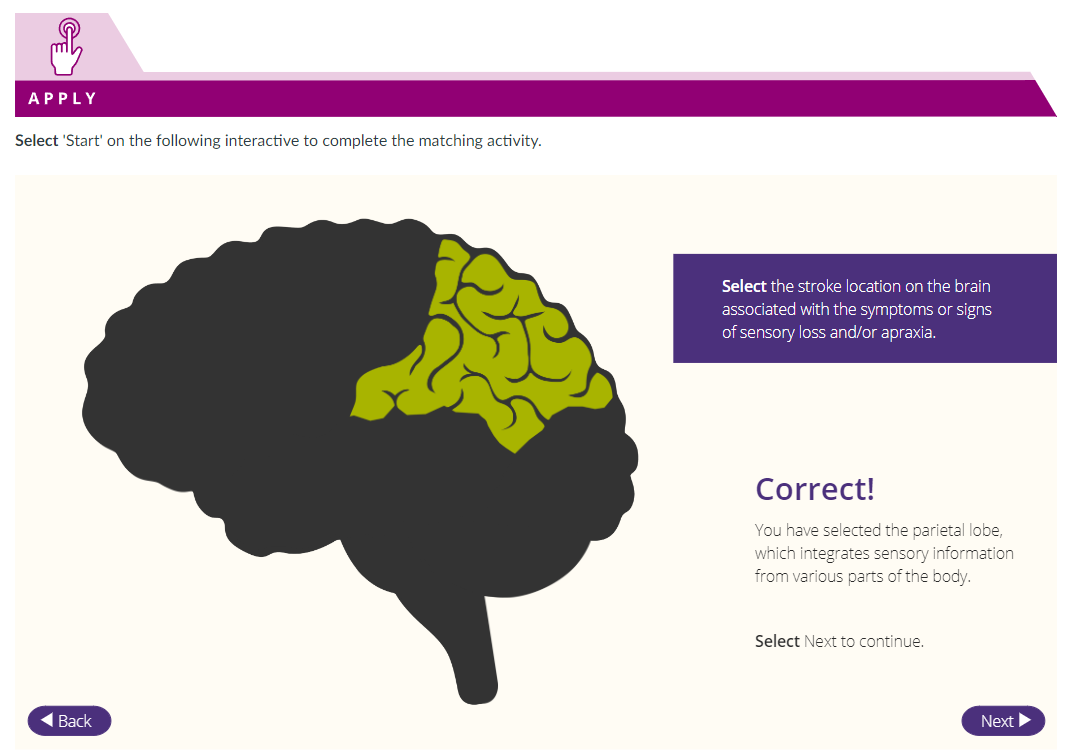 Brain interactive - Mobility